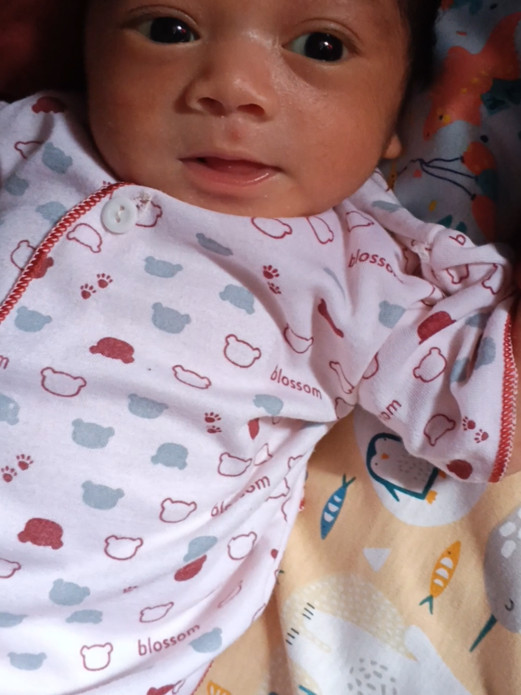 @irwan_brbt