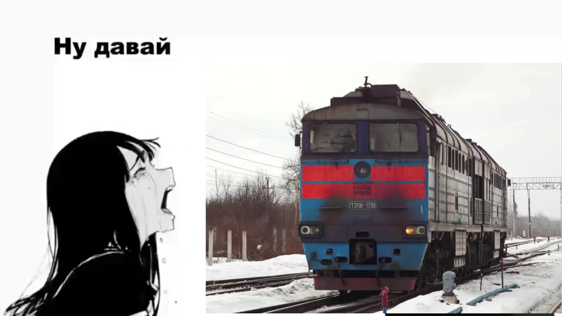 @shilux1🚄spott