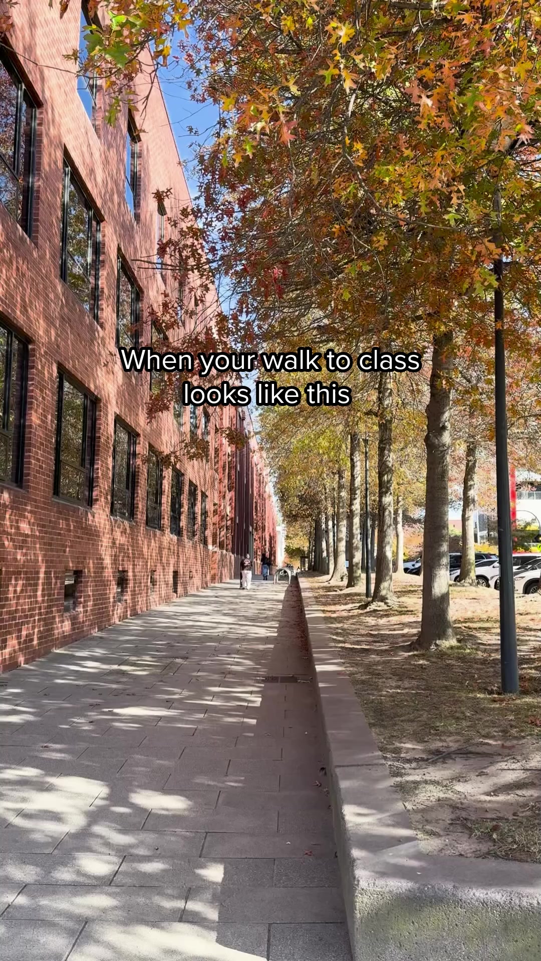 @Deakin University