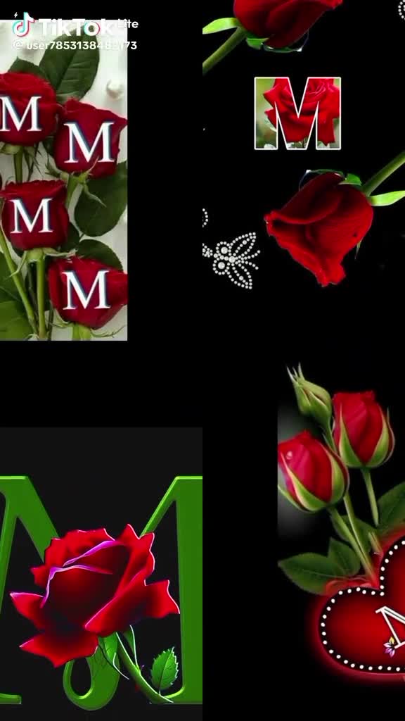 @rumiyaa2030@gmail.com