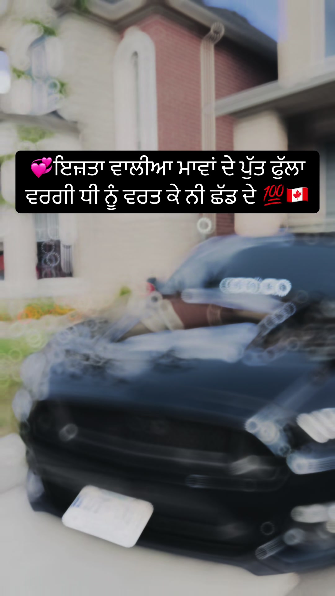 @vehlijanta761