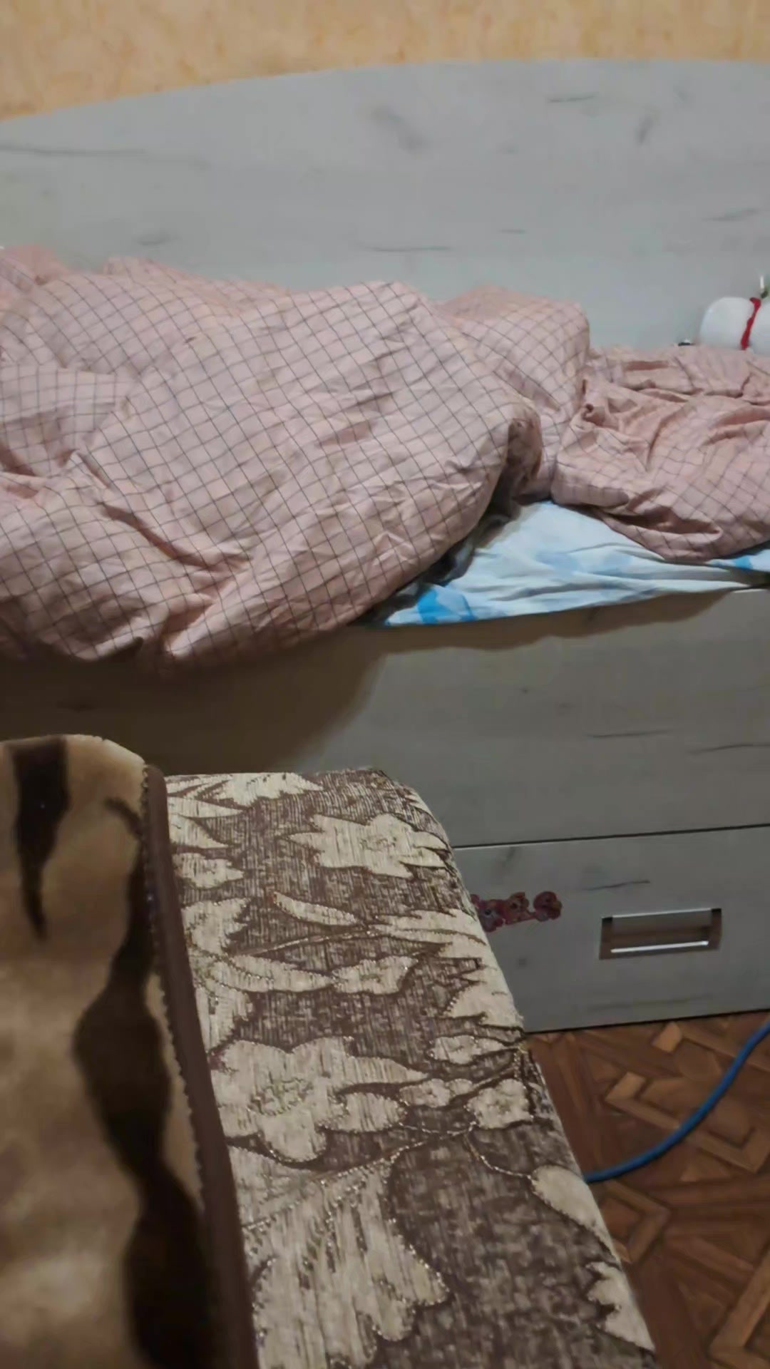 @Коти з Харківщини