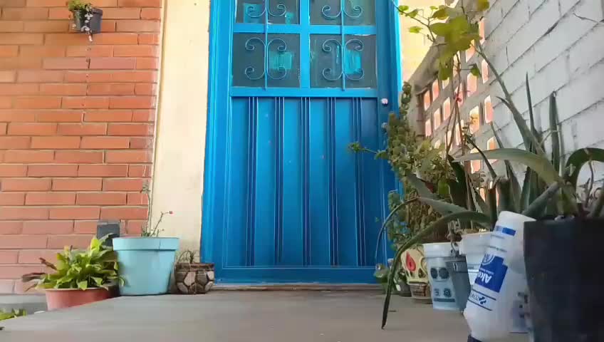 @Borixto248