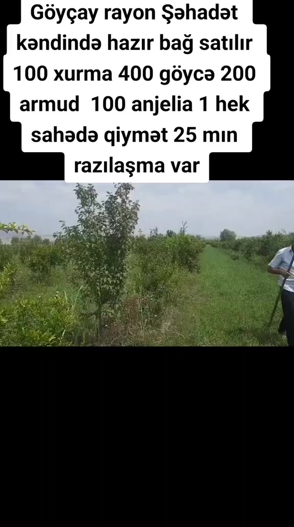 @Kenan_makler_elan_xeber