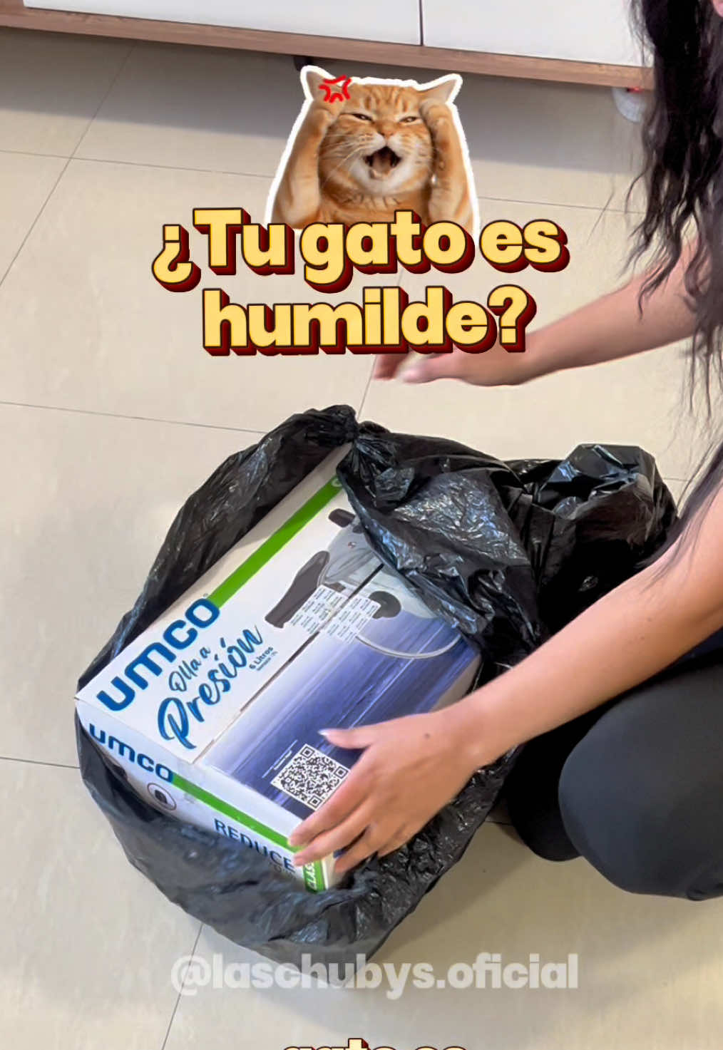 @Las Chubys