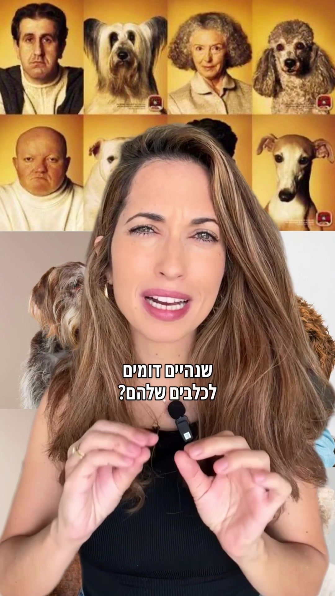 @Dr. Maayan Boiman-Meshita