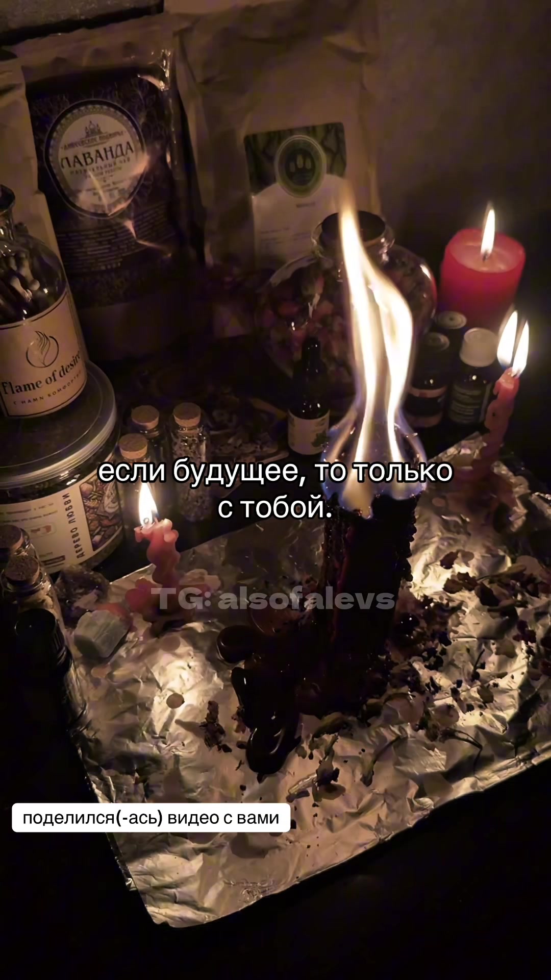 @ПРАКТИК|ТАРОЛОГ TG: alsofalevs