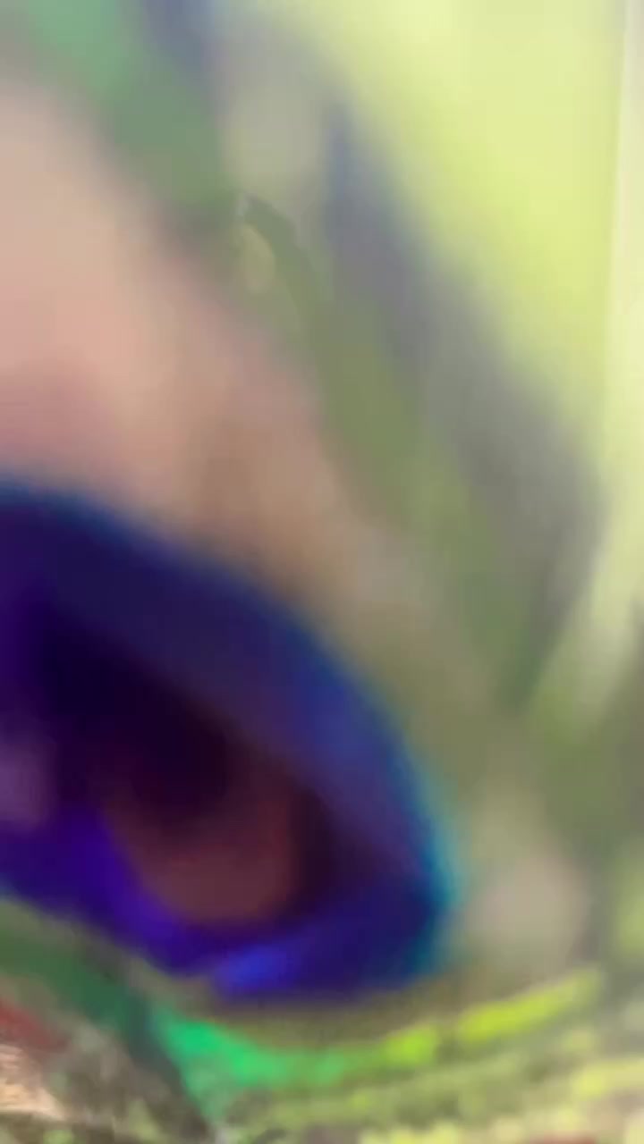 @laxmi singh chauhan😘🤗