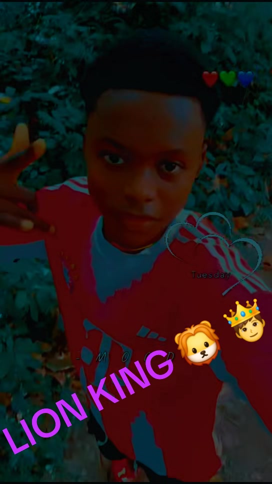@@ LION KING 🦁 🤴