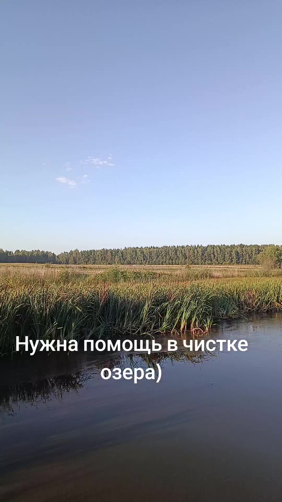 @Vladislav