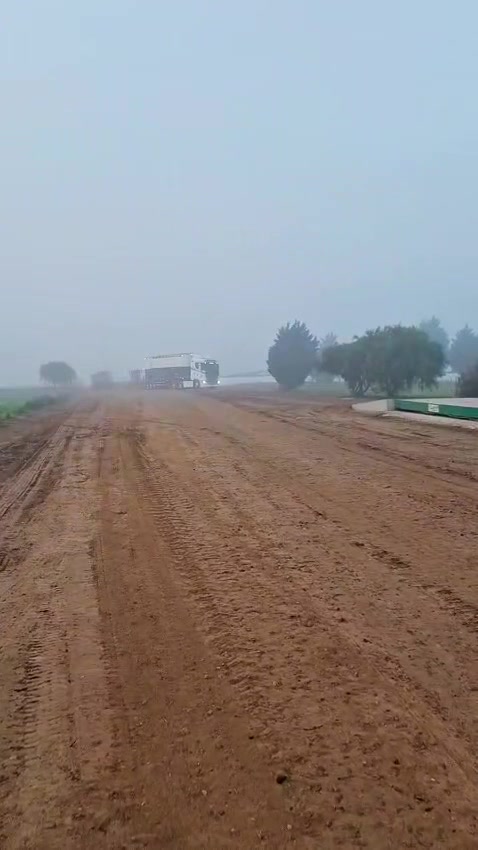 @micheloud 259🇦🇷