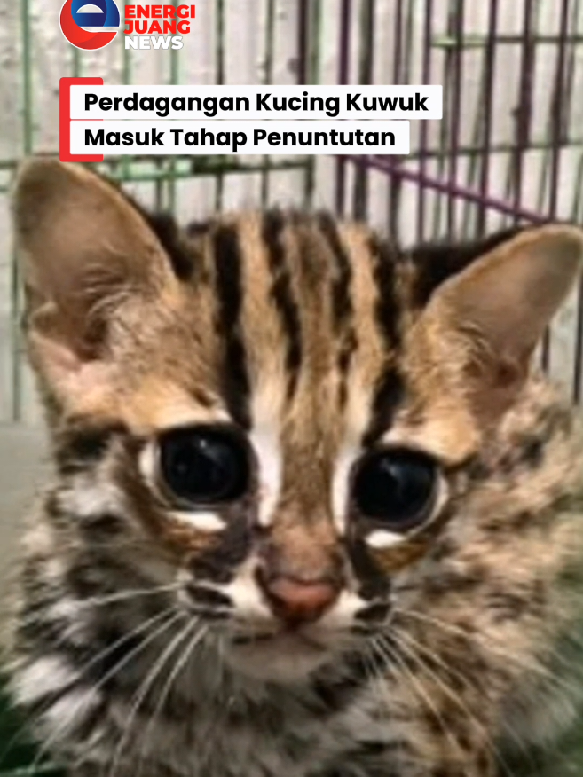 @Energi Juang News