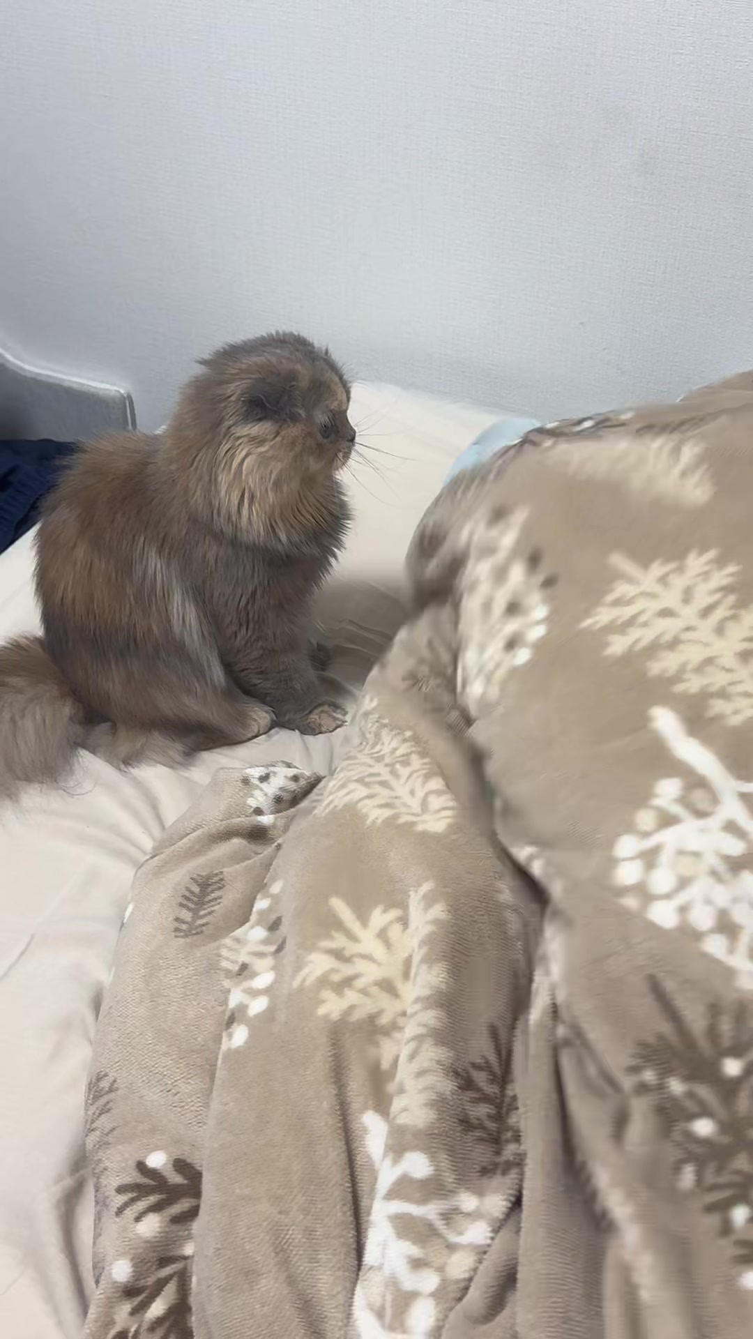 @マイクワゾウスキー