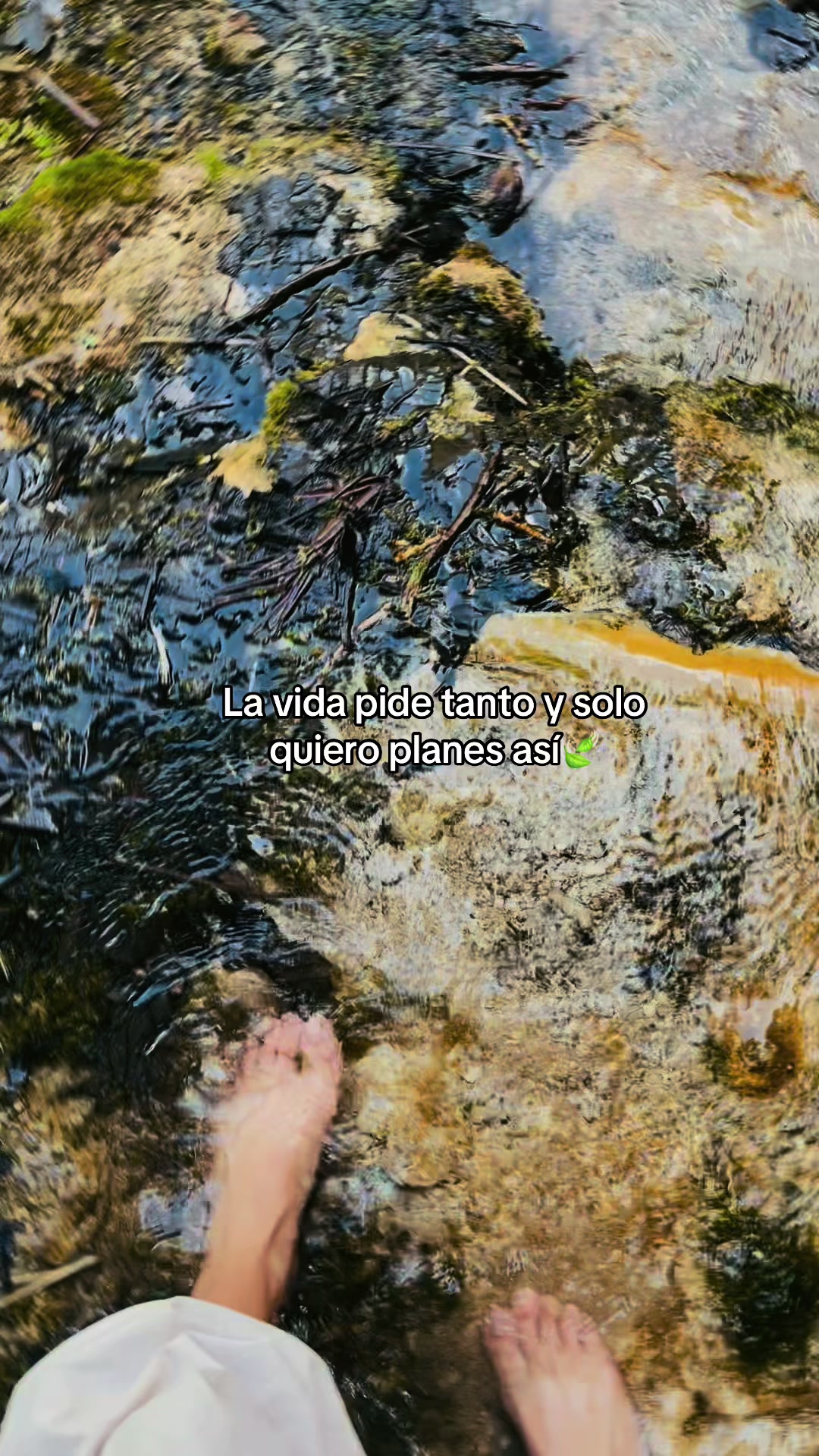 @.🖤