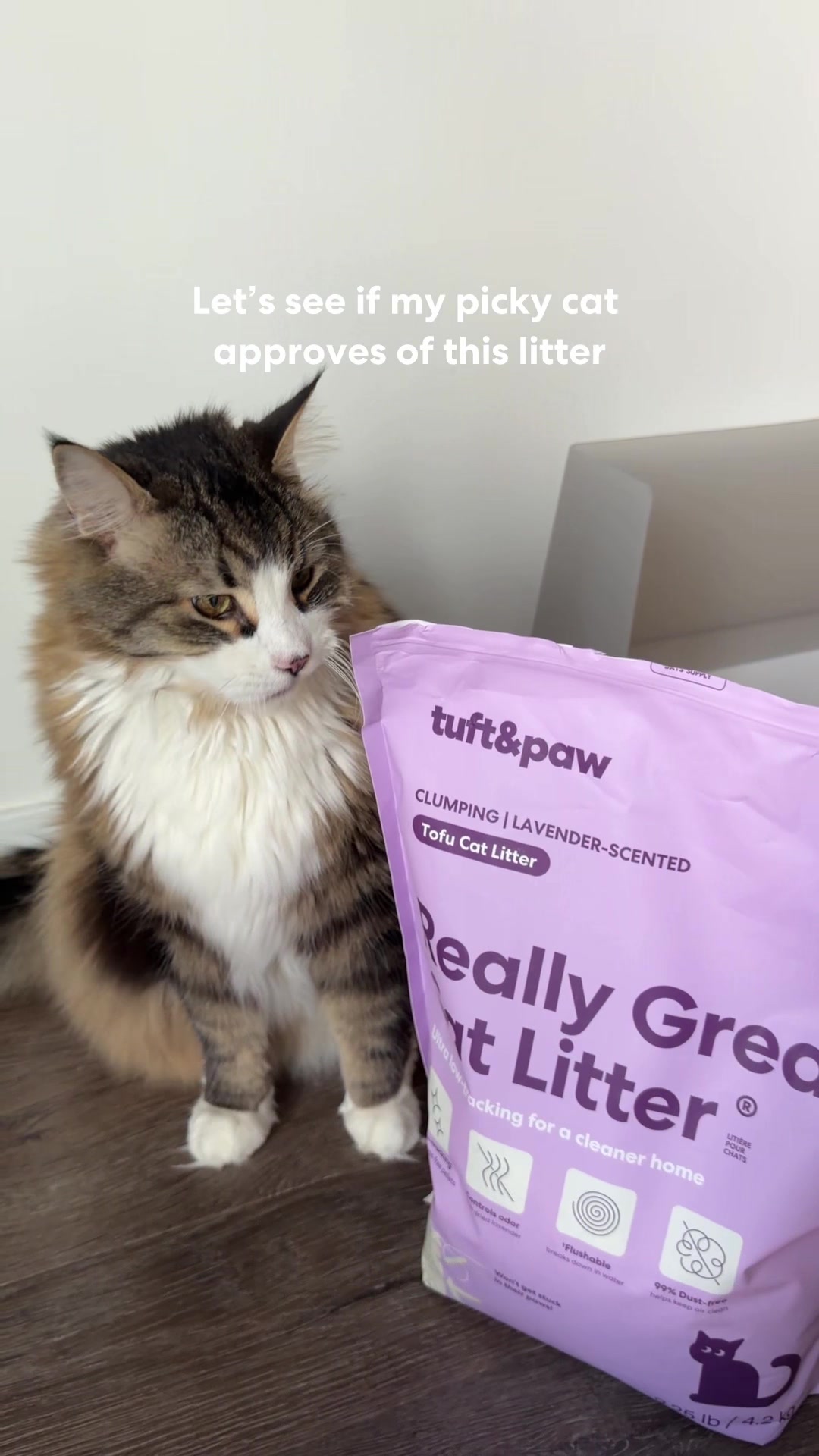 @Tuft & Paw