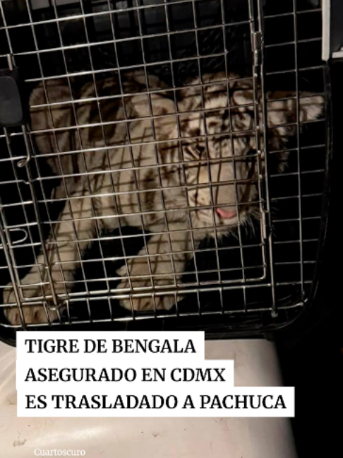 @Periódico Excélsior