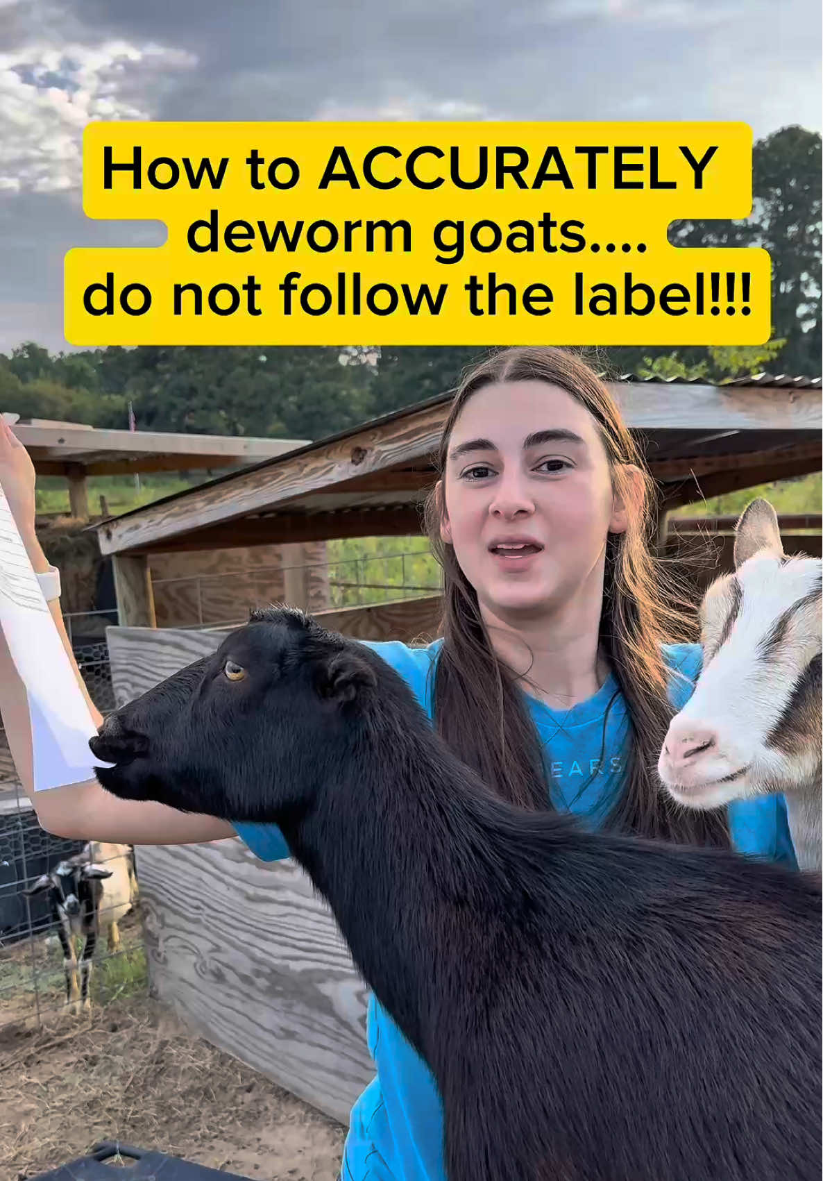@Heart & Hoof Homestead