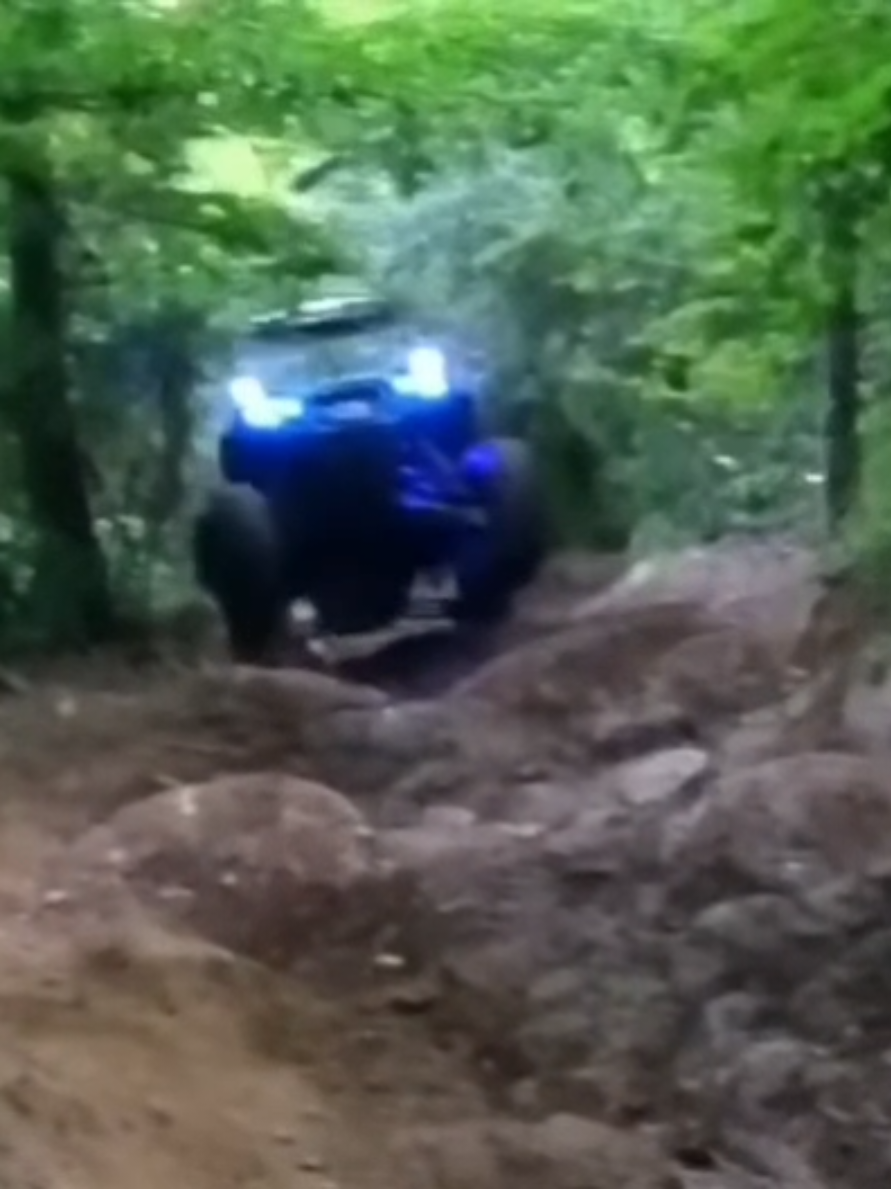 @TalonGirl21💙