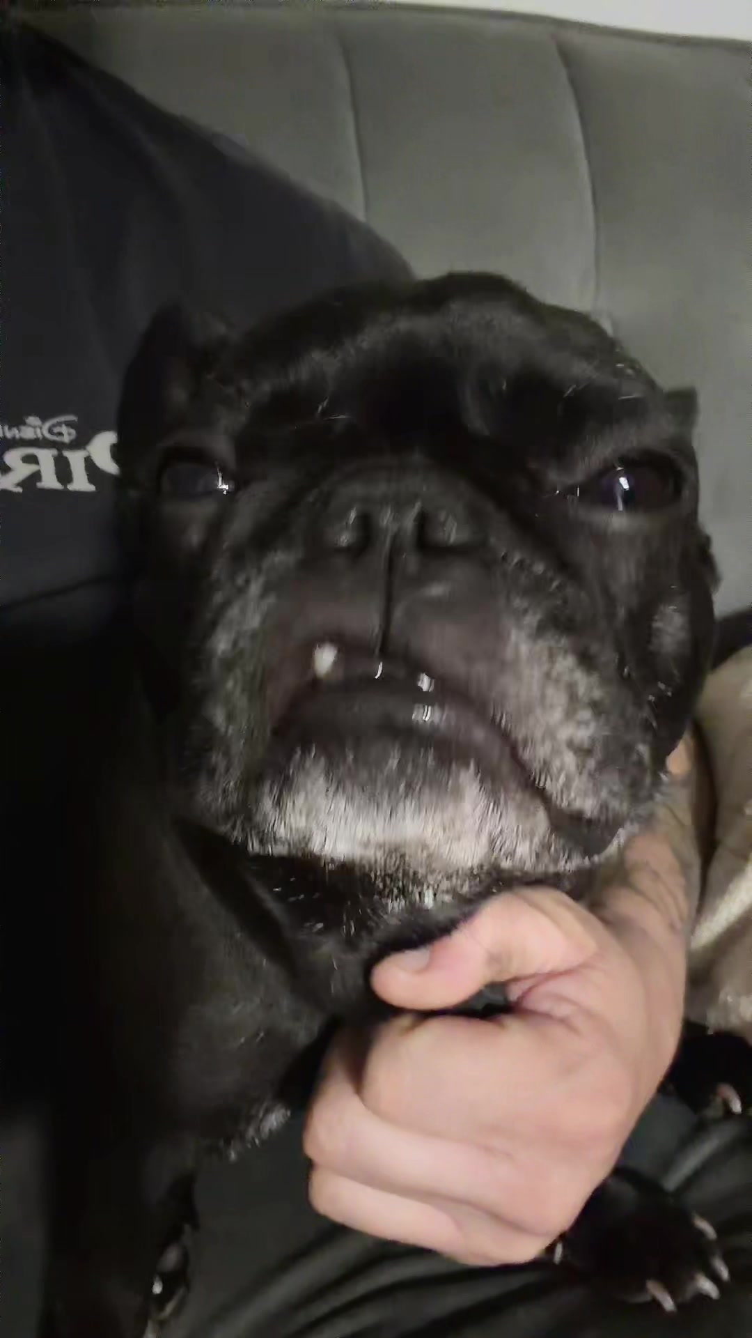 @minniecantalk