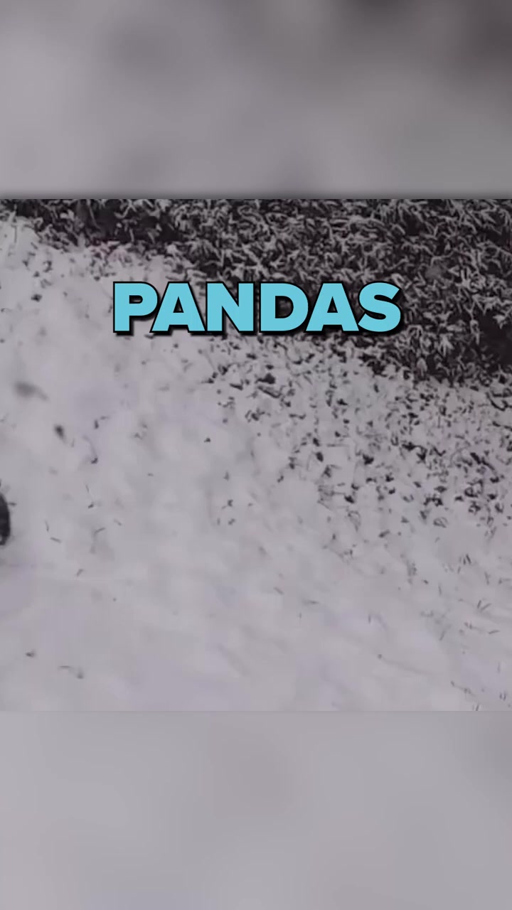 @gio583666c7