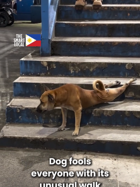 @The Smart Local Philippines