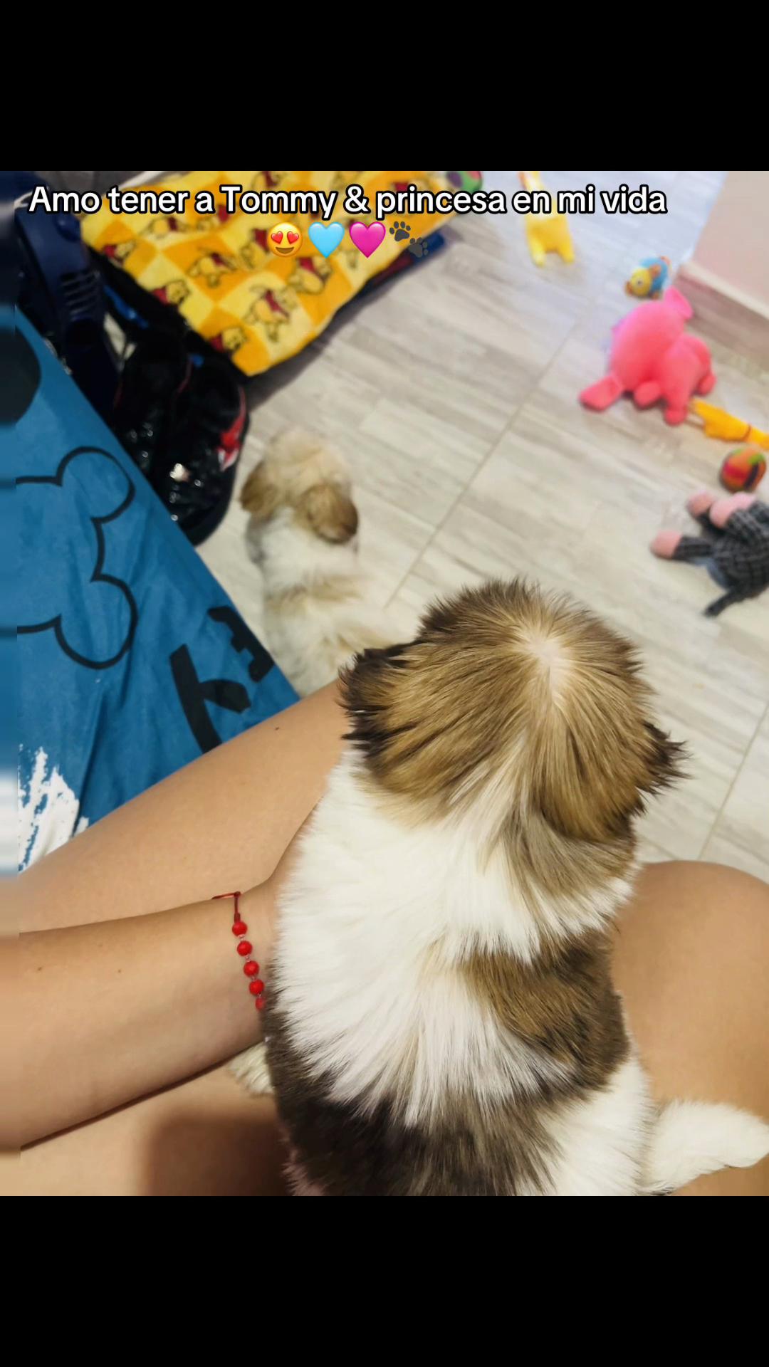 @MANU PV๐ธ๐ป๐๐ฅ