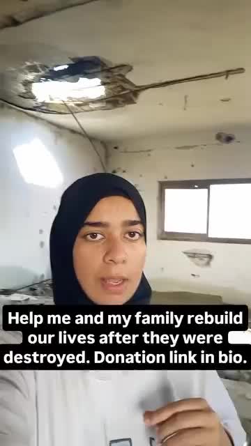 @shoug 🇵🇸