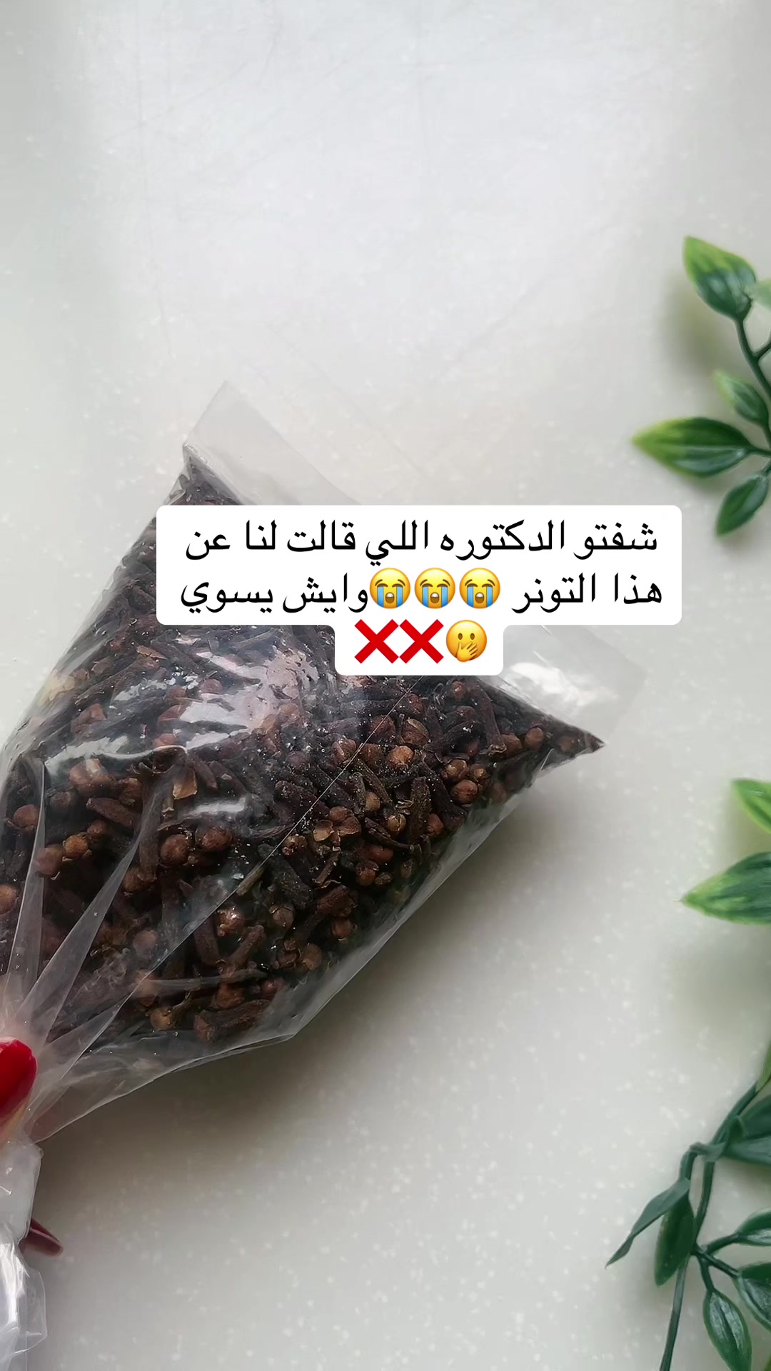 @فراشه 🦋