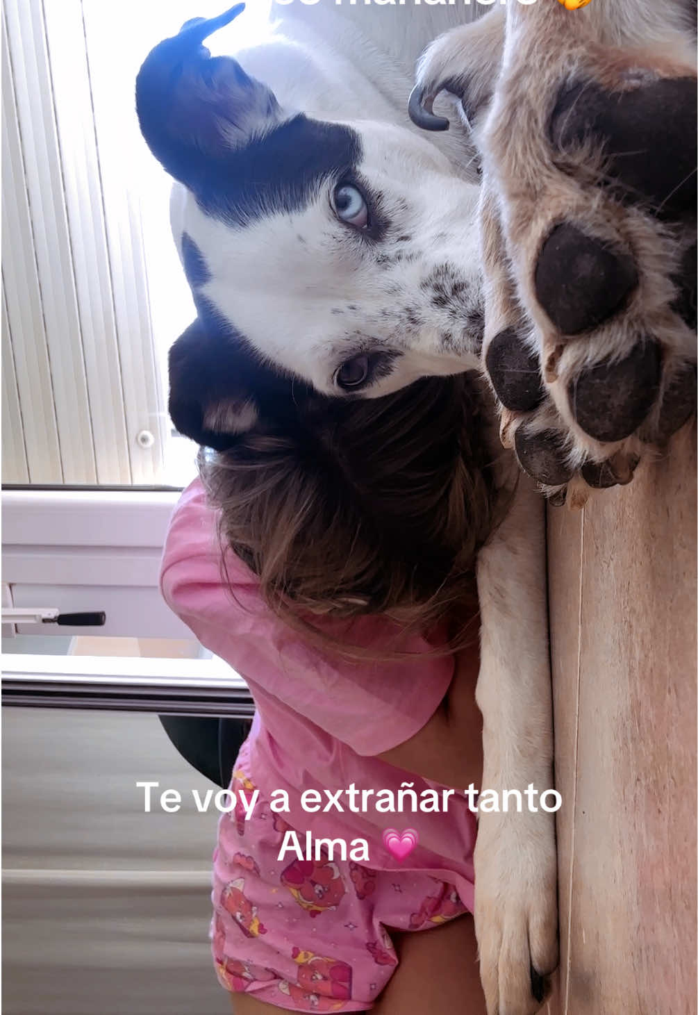 @vivii.tudela