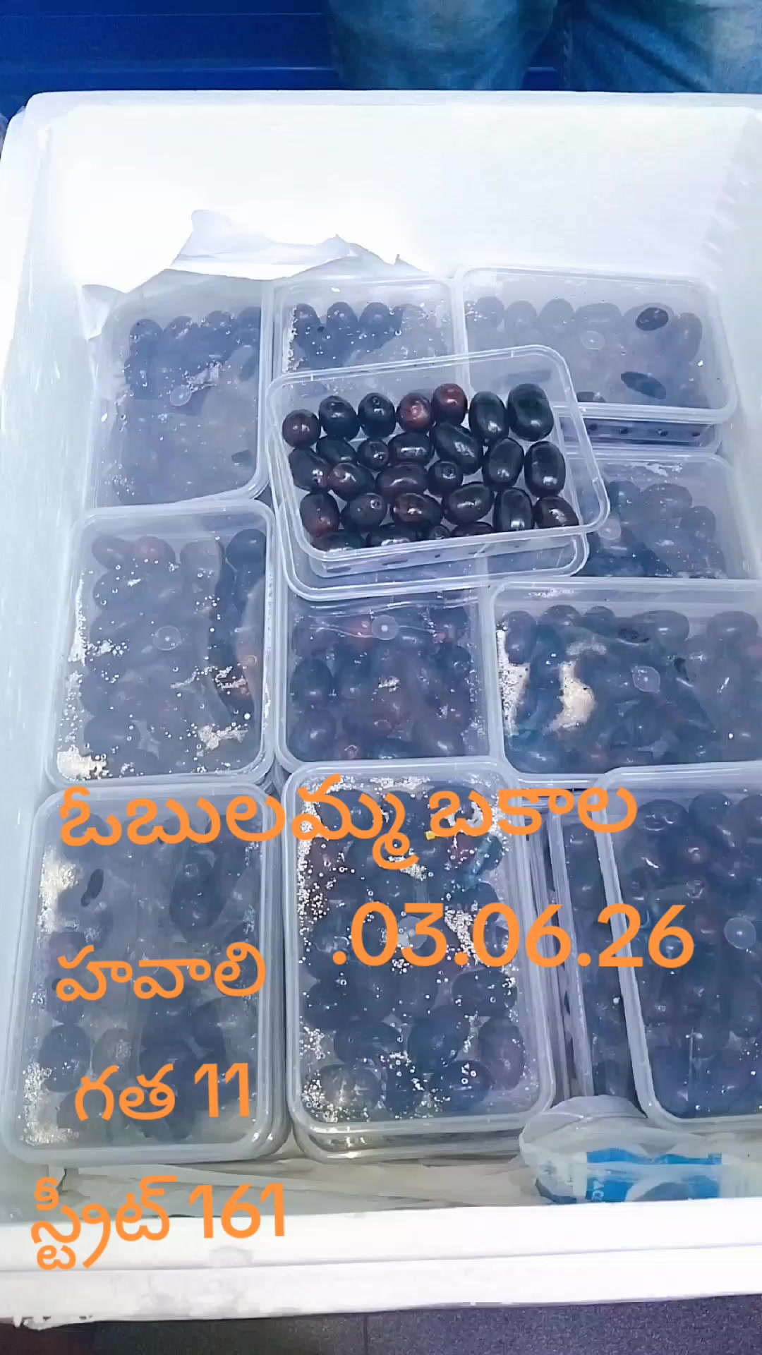 @ఓబులమ్మ బకాల గత 11 ఈసార 161