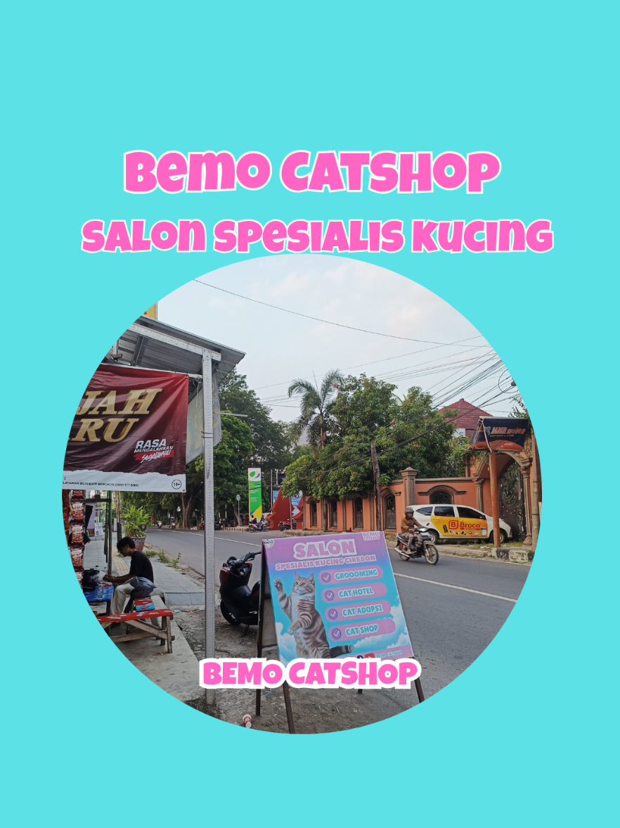 @Bemo Catshop