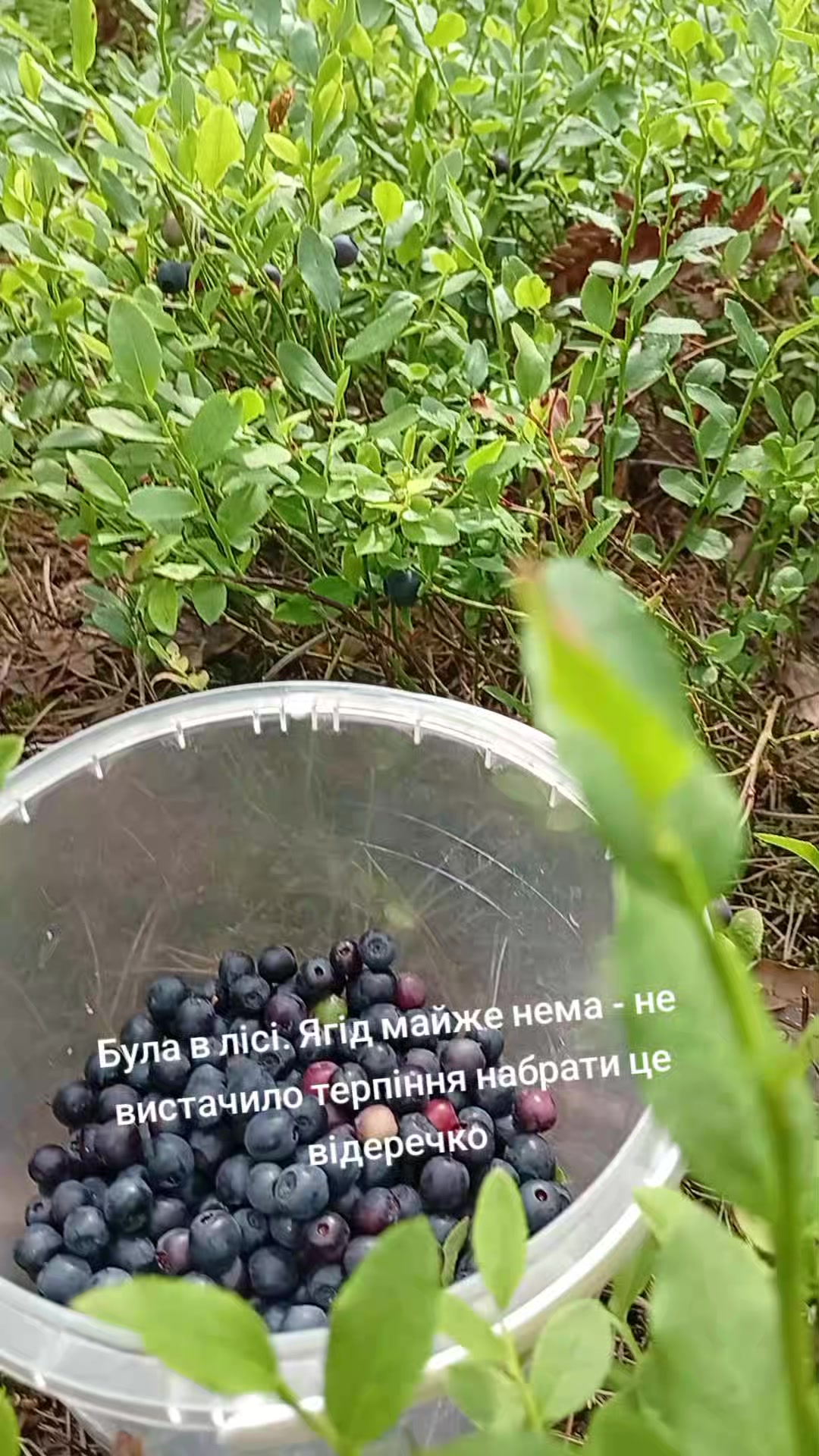@YV