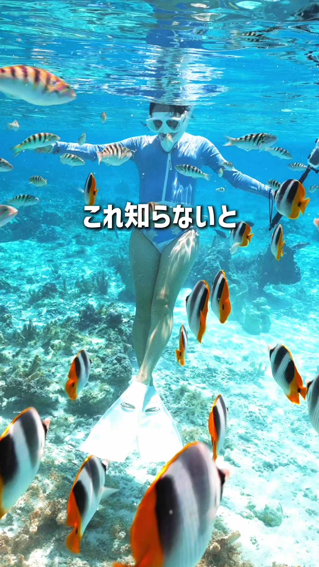 @ZEO家の冒険@YouTube