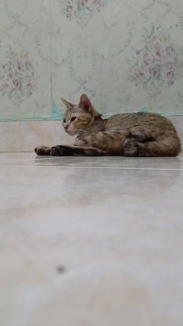 @Nasri Sulaiman