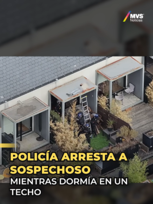 @MVSNOTICIAS