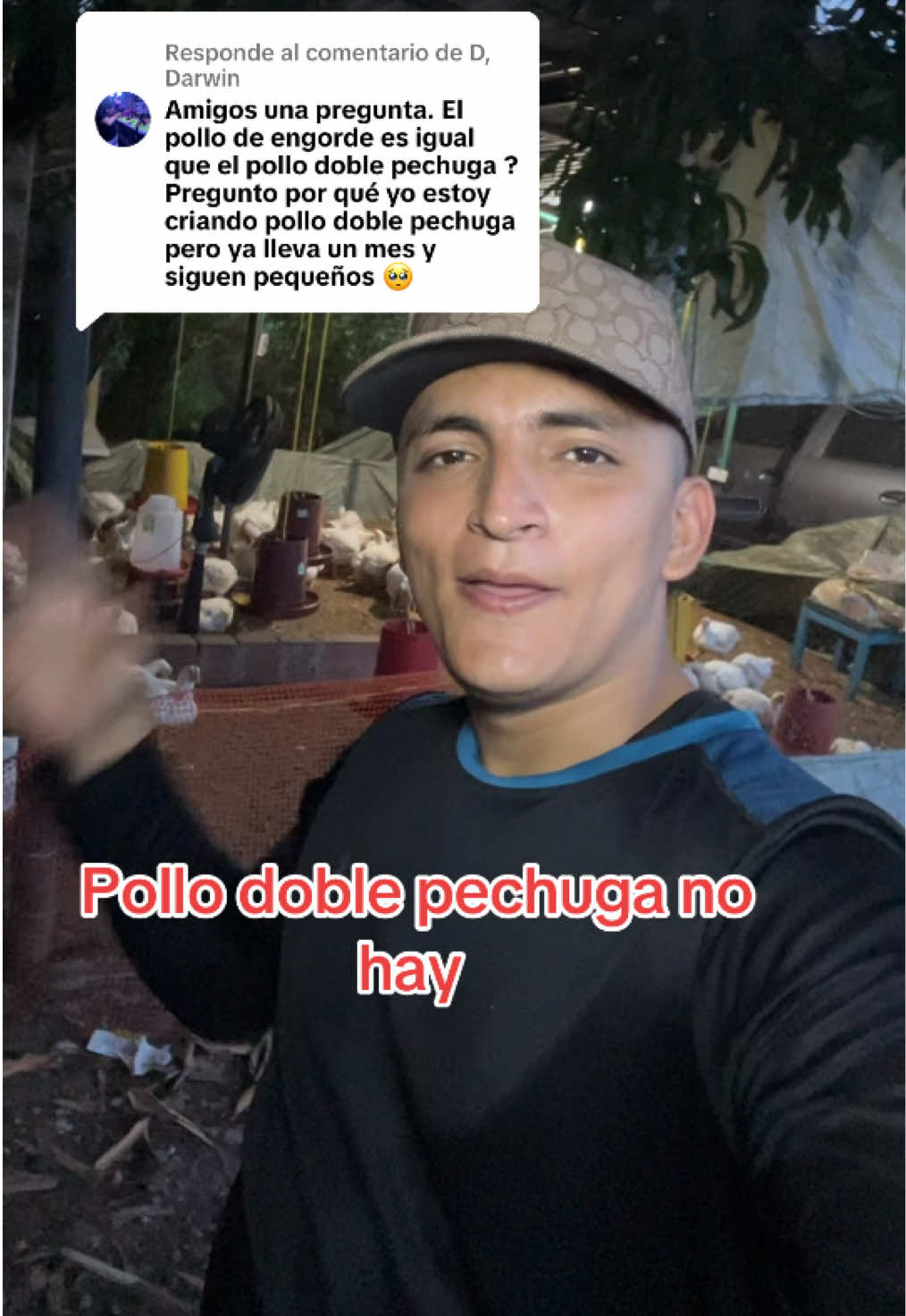 @elmagnatedelospollos