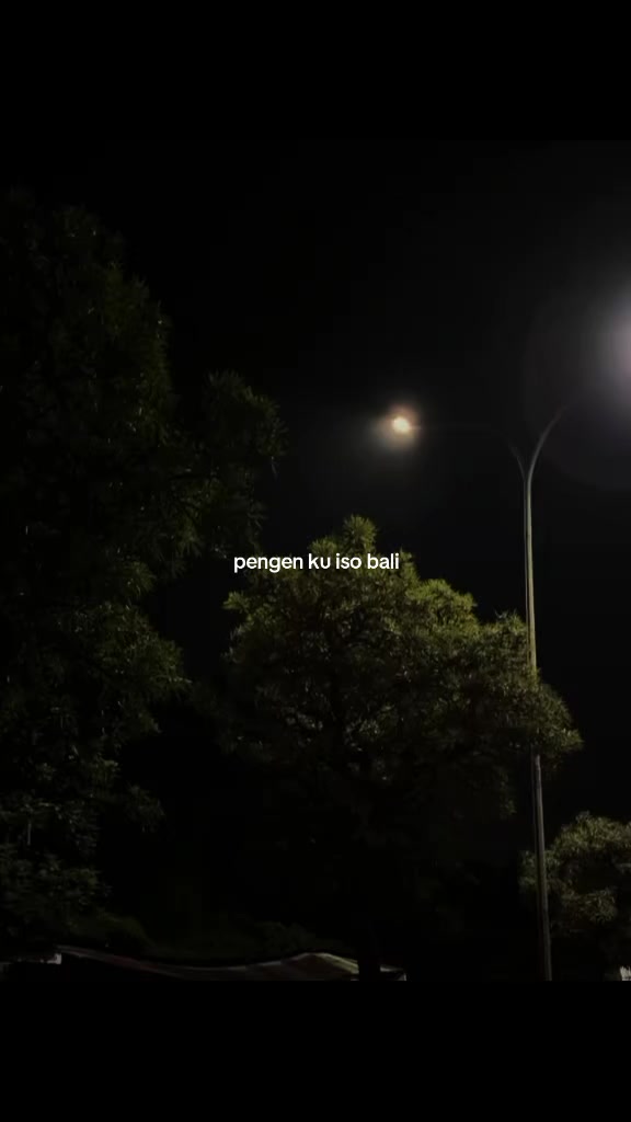 @𝐀𝐃𝐈𝐓 | 𝐓'𝐖𝐑𝐆