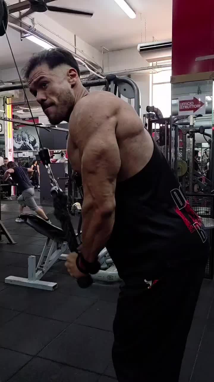@vicio.caterpillar