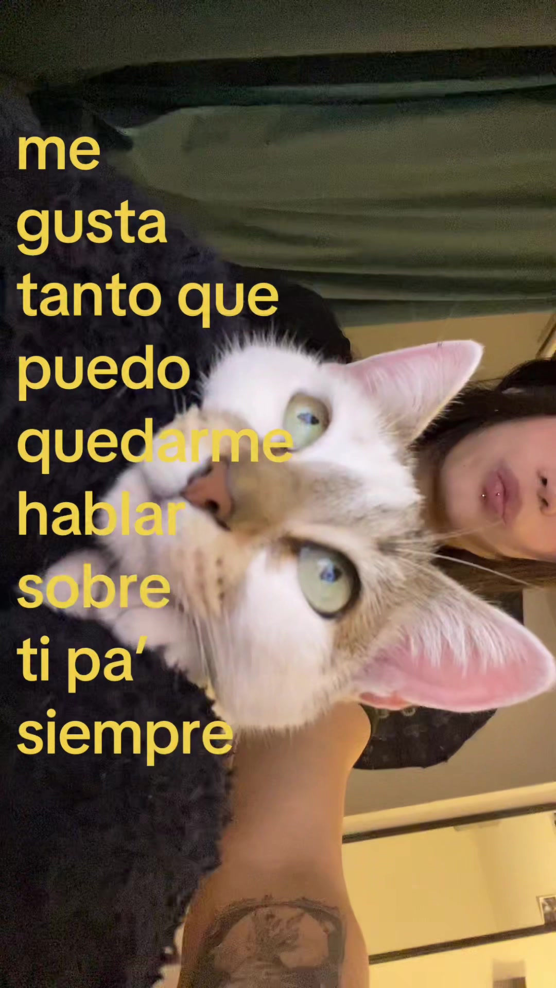 @bai