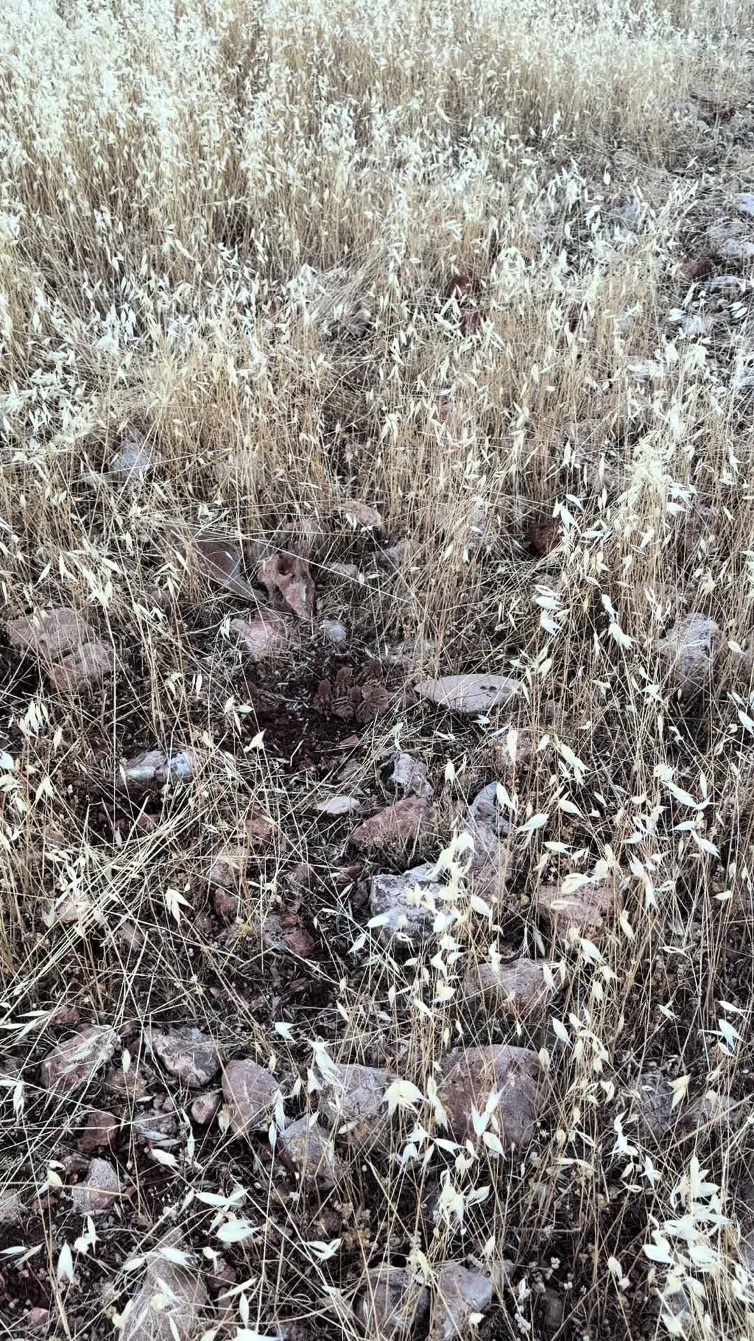 @VEDATDOĞAN2147