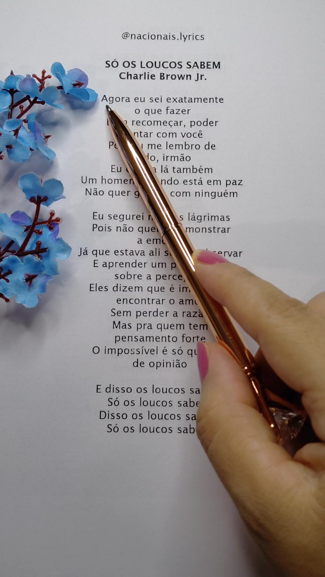 @nacionais lyrics