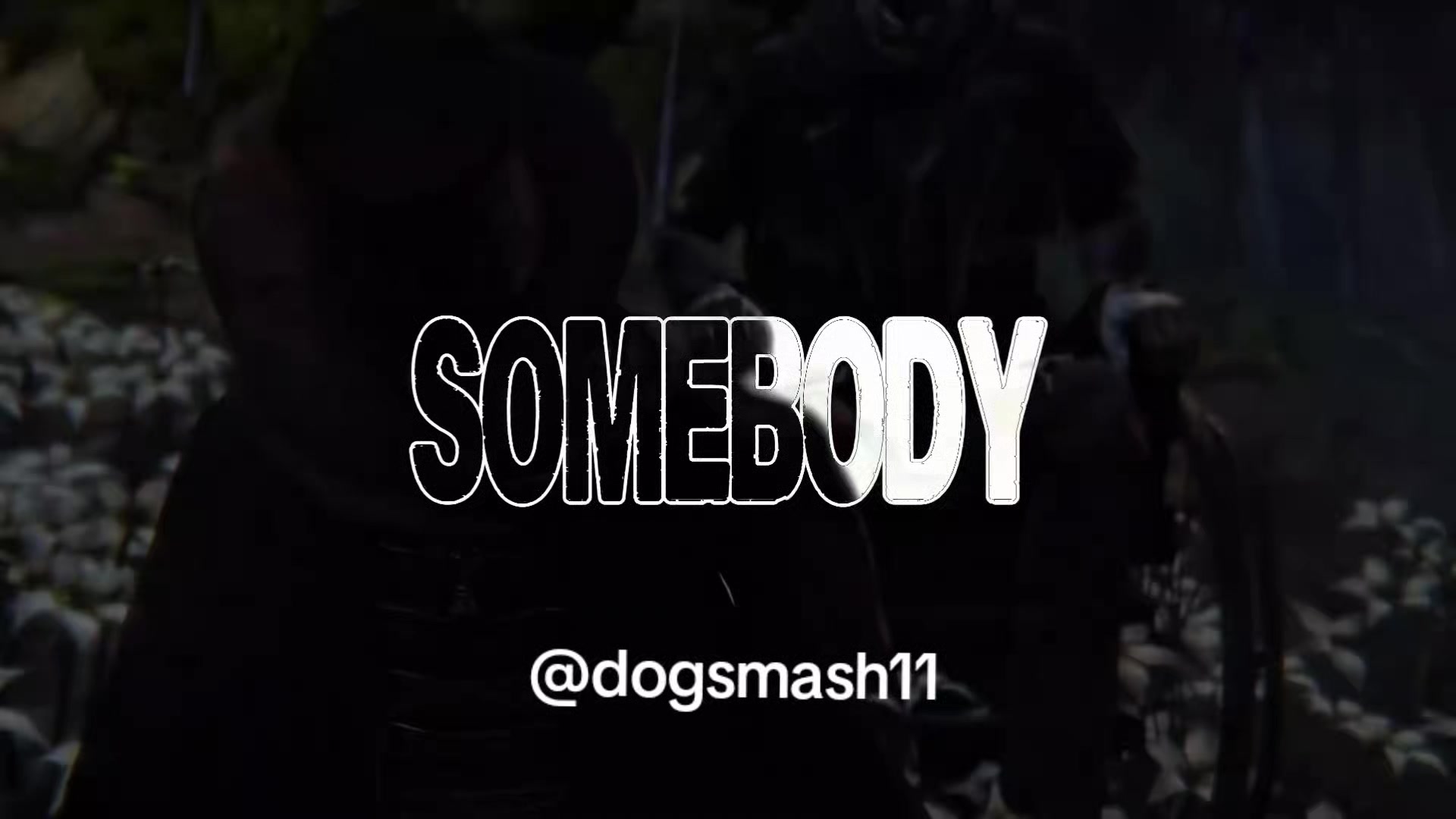 @dogsmash11