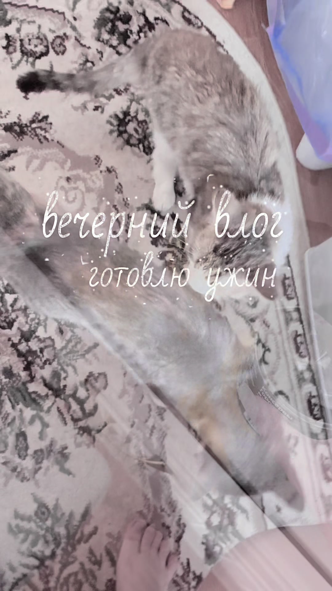 @✧ kris.quiet ✧
