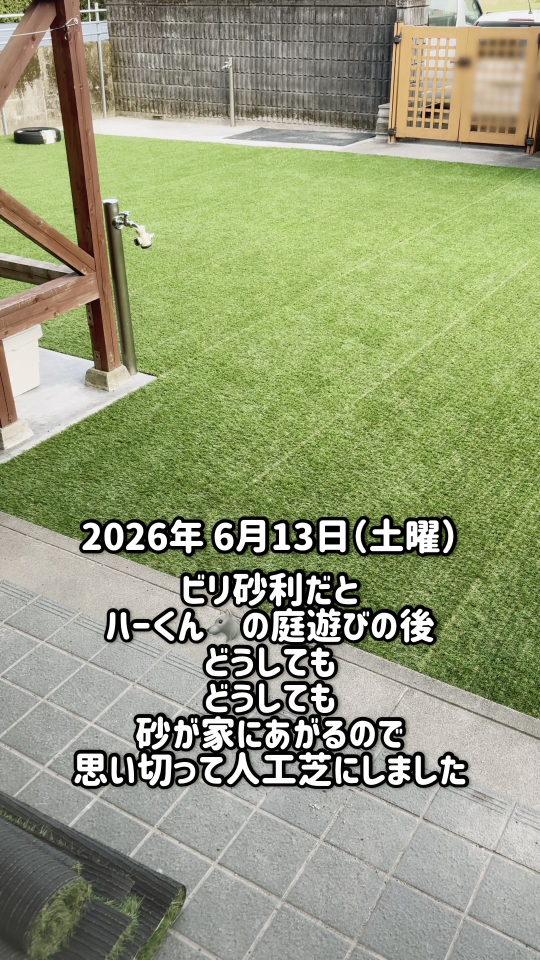 @ねこぷにもふ｜ホワイトシェパードのハクちゃん