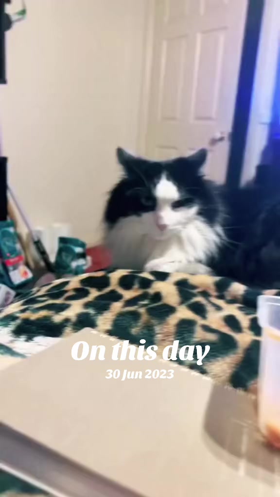 @Sabatonliam/TTV