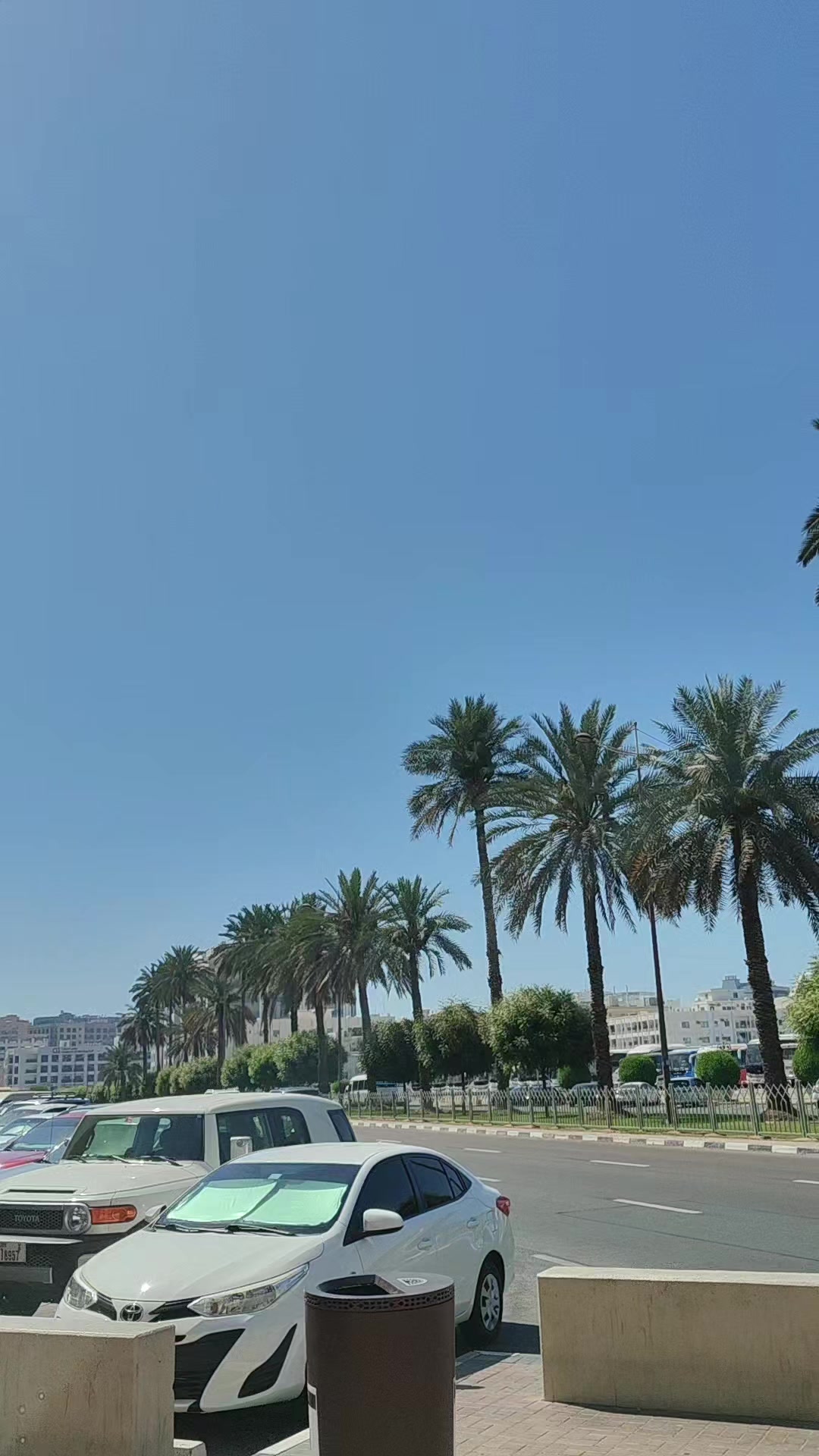 @فرحانة