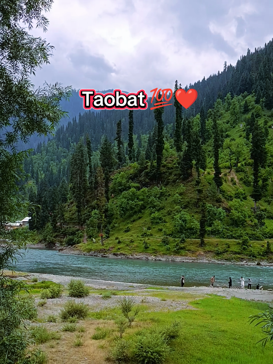@Daska Adventure Club®