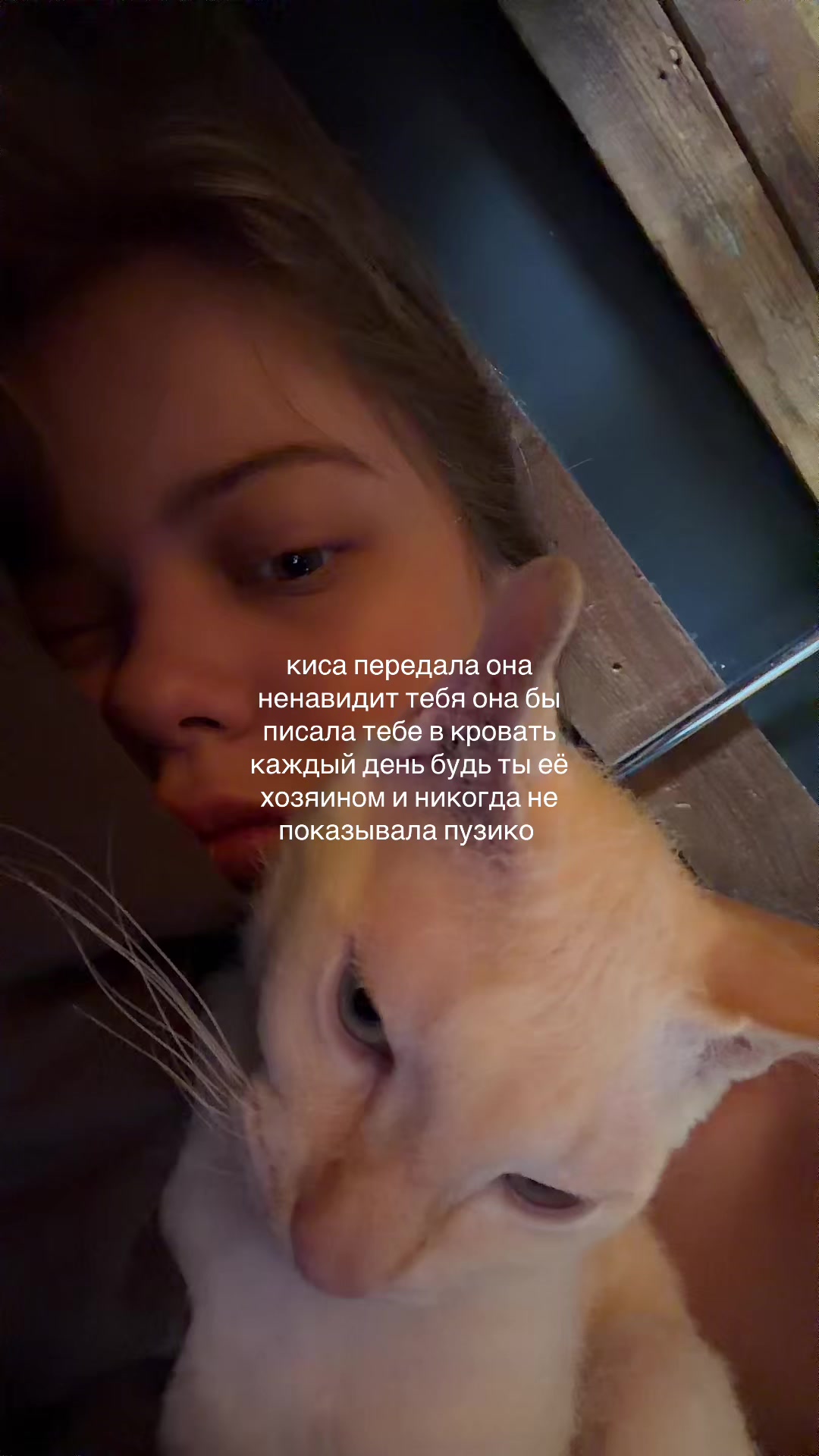 @тгк: КАЗАра