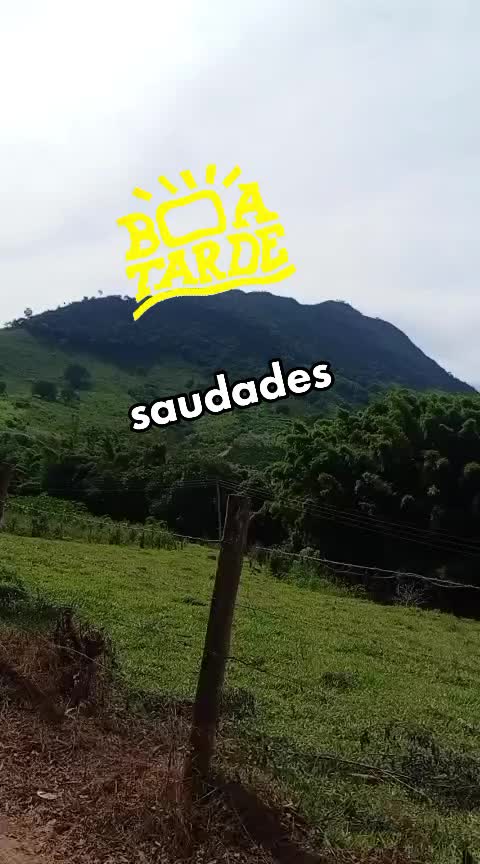 @Maria Ribeiro