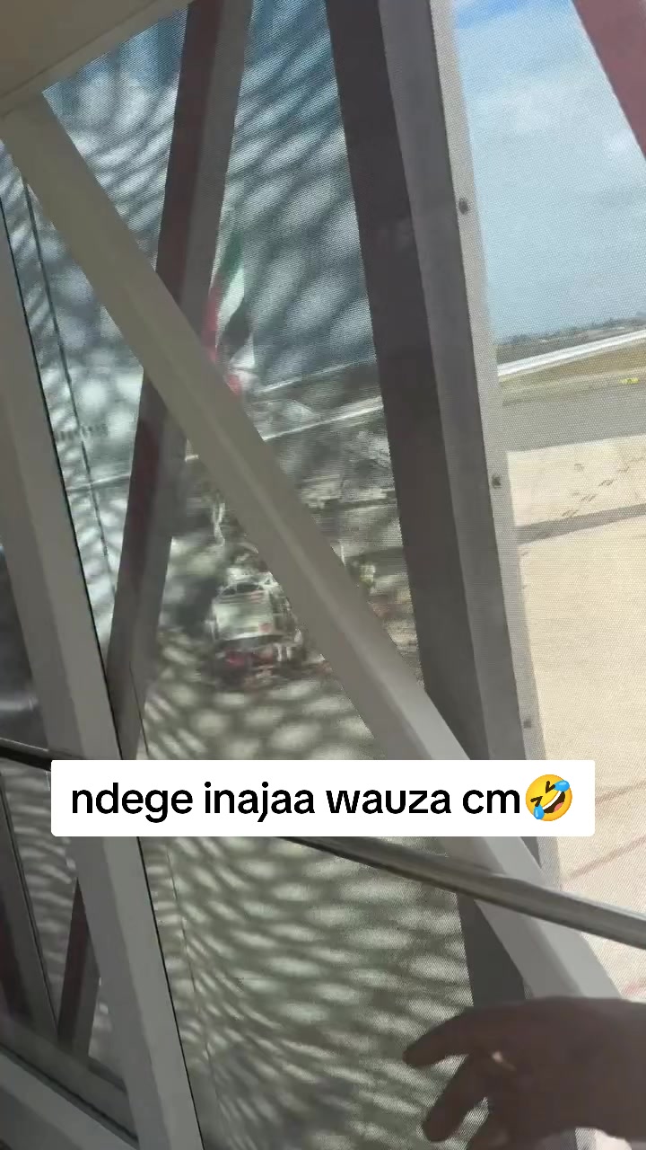 @ZUCHU